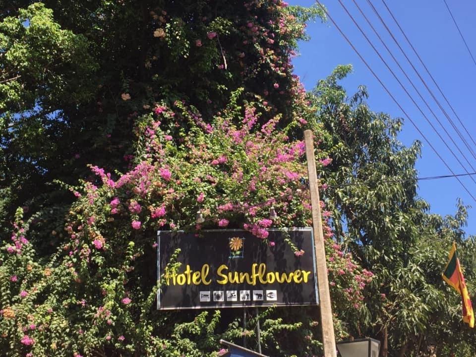 Hotel Sunflower Kataragama Zewnętrze zdjęcie